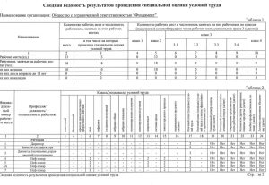 СОУТ